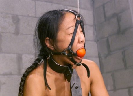 Sexy Half Asian Bondage 7 #TerheCMt